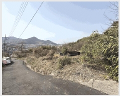  2025Ÿ��372  �����