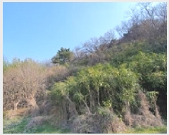  2025Ÿ��372  �����