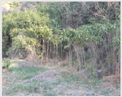  2025Ÿ��372  �����