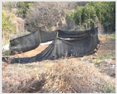  2025Ÿ��372  �����