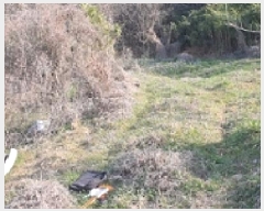  2025Ÿ��372  �����