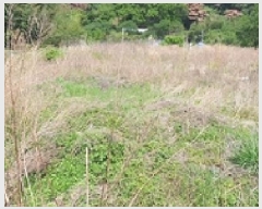  2025Ÿ��440 �泲 ���ؽ� �Ѹ��� ��õ�� 672-1      ����(��)���