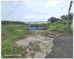  2025Ÿ��585  ����