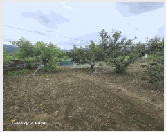  2025Ÿ��585  ����