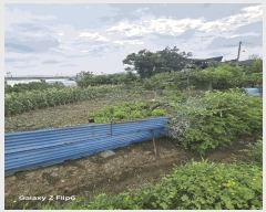  2025Ÿ��585  ����