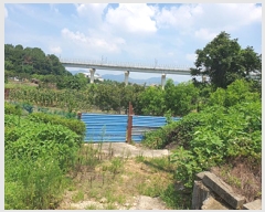  2025Ÿ��585  ����