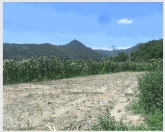  2025Ÿ��593 �泲 ���ؽ� �뵿�� �ֵ��� 999-18      ����(��)���