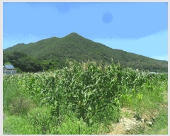  2025Ÿ��593 �泲 ���ؽ� �뵿�� �ֵ��� 999-18      ����(��)���