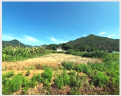  2025Ÿ��593 �泲 ���ؽ� �뵿�� �ֵ��� 999-18      ����(��)���