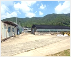  2025Ÿ��606  �����