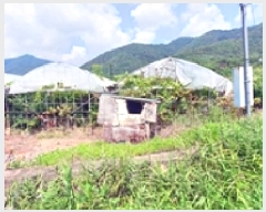  2025Ÿ��606 �泲 ���ؽ� �뵿�� ���ȸ� 1156      ����(��)���