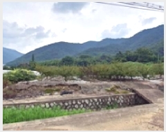  2025Ÿ��606 �泲 ���ؽ� �뵿�� ���ȸ� 1156      ����(��)���