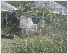  2025Ÿ��606 �泲 ���ؽ� �뵿�� ���ȸ� 1156      ����(��)���