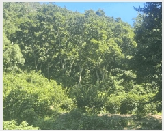  2025Ÿ��606 �泲 ���ؽ� �뵿�� ���ȸ� 1156      ����(��)���