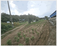  2025Ÿ��614 �泲 â���� ��â�� �ϸ� �ܻ긮 835     ����(��1)���
