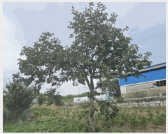  2025Ÿ��614 �泲 â���� ��â�� �ϸ� �ܻ긮 835     ����(��1)���
