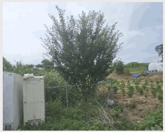  2025Ÿ��614 �泲 â���� ��â�� �ϸ� �ܻ긮 835     ����(��1)���