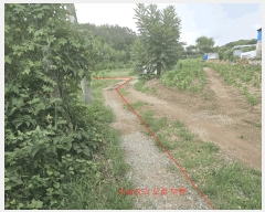  2025Ÿ��614 �泲 â���� ��â�� �ϸ� �ܻ긮 835     ����(��1)���