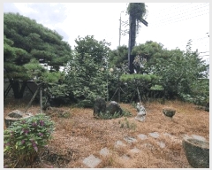  2025Ÿ��678 �泲 ���ؽ� ������ �ſ븮 243-4      ���ð��