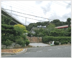  2025Ÿ��678 �泲 ���ؽ� ������ �ſ븮 243-4      ���ð��
