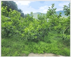  2025Ÿ��11561  �����