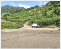  2025Ÿ��11561  �����