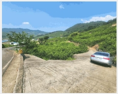  2025Ÿ��11561  �����