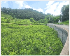  2025Ÿ��11561  �����