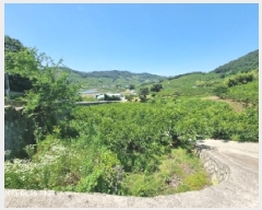  2025Ÿ��11561  �����