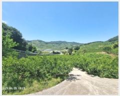  2025Ÿ��11561  �����