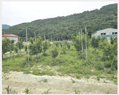  2025Ÿ��11587 �泲 â���� ��â�� �ϸ� ���̸� 1132-1     ����(��)���