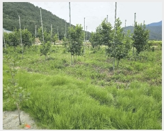  2025Ÿ��11587 �泲 â���� ��â�� �ϸ� ���̸� 1132-1     ����(��)���