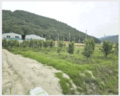  2025Ÿ��11587 �泲 â���� ��â�� �ϸ� ���̸� 1132-1     ����(��)���