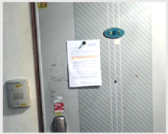  2025Ÿ��11688  ���ǽ��ڰ��