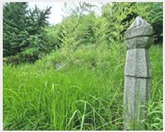  2025Ÿ��11790 �泲 â���� ��â�� ������ ��1-2      ����(�Ӿ�)���