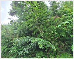  2025Ÿ��11790 �泲 â���� ��â�� ������ ��1-2      ����(�Ӿ�)���