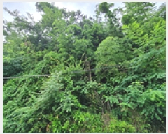  2025Ÿ��11790 �泲 â���� ��â�� ������ ��1-2      ����(�Ӿ�)���