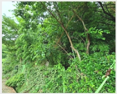  2025Ÿ��11790 �泲 â���� ��â�� ������ ��1-2      ����(�Ӿ�)���