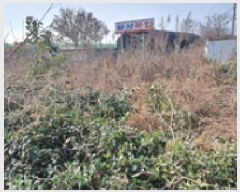  2025Ÿ101 泲 ؽ Ѹ  327-6      ()