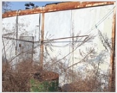  2025Ÿ101 泲 ؽ Ѹ  327-6      ()