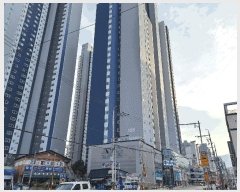  2025Ÿ��390  ���ǽ��ڰ��