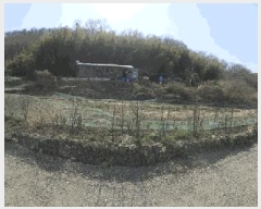  2025Ÿ��400 �泲 ���ؽ� ������ ���縮 1390-1      ����(��1)���