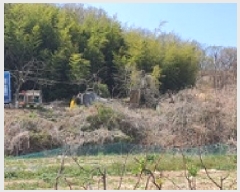  2025Ÿ��400 �泲 ���ؽ� ������ ���縮 1390-1      ����(��1)���