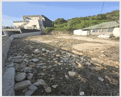  2025Ÿ��492 �泲 ���ؽ� �뵿�� ���߸� 254      ����(��1)���