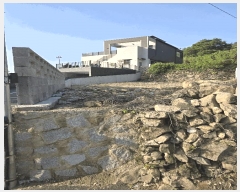  2025Ÿ��492 �泲 ���ؽ� �뵿�� ���߸� 254      ����(��1)���