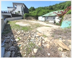  2025Ÿ��492 �泲 ���ؽ� �뵿�� ���߸� 254      ����(��1)���