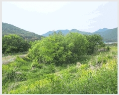  2025Ÿ��500 �泲 ���ؽ� �󵿸� ��踮 714-8      ����(��)���