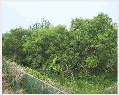  2025Ÿ��500 �泲 ���ؽ� �󵿸� ��踮 714-8      ����(��)���