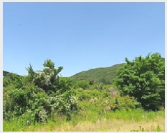  2025Ÿ��500 �泲 ���ؽ� �󵿸� ��踮 714-8      ����(��)���