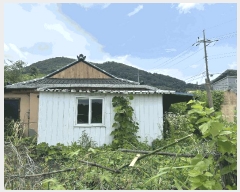  2025Ÿ��528 �泲 ���ؽ� �Ѹ��� ������ 461-1      ������